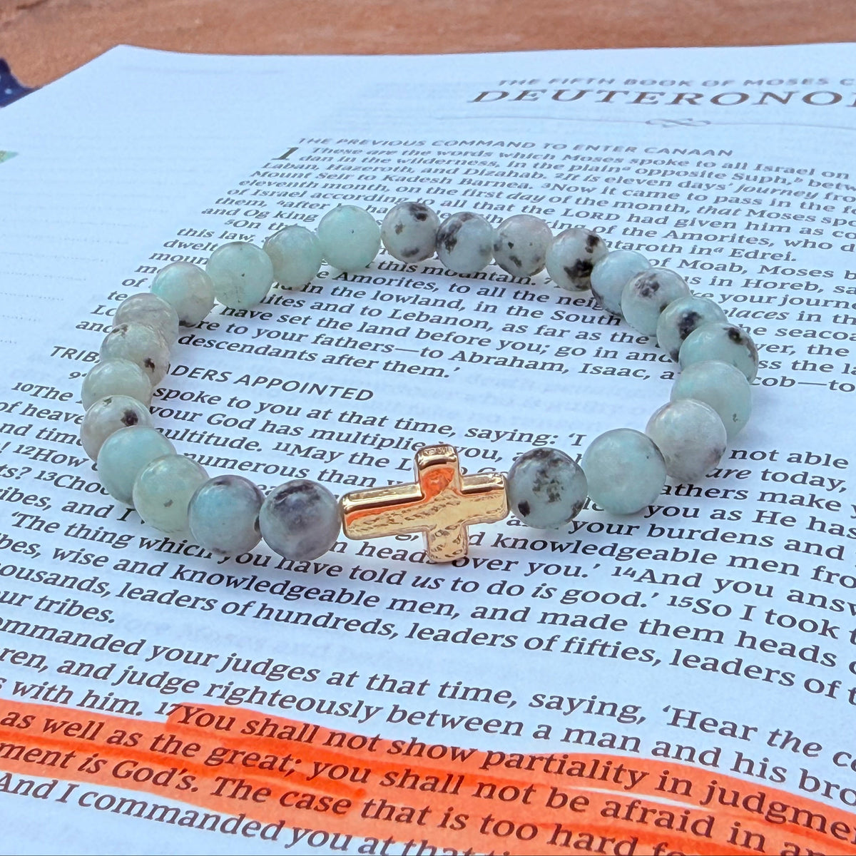 Deuteronomy 31:8