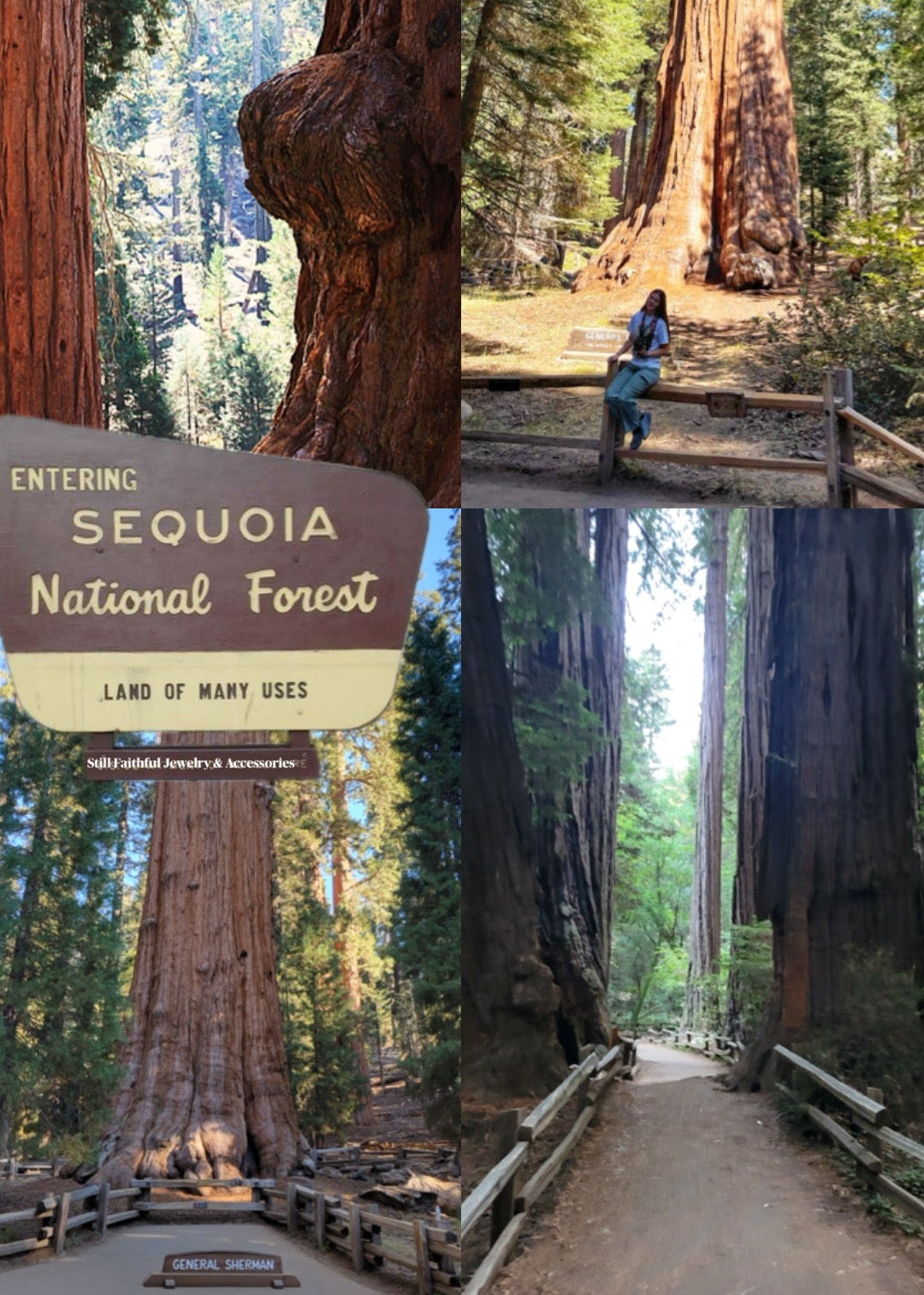Sequoia National Park